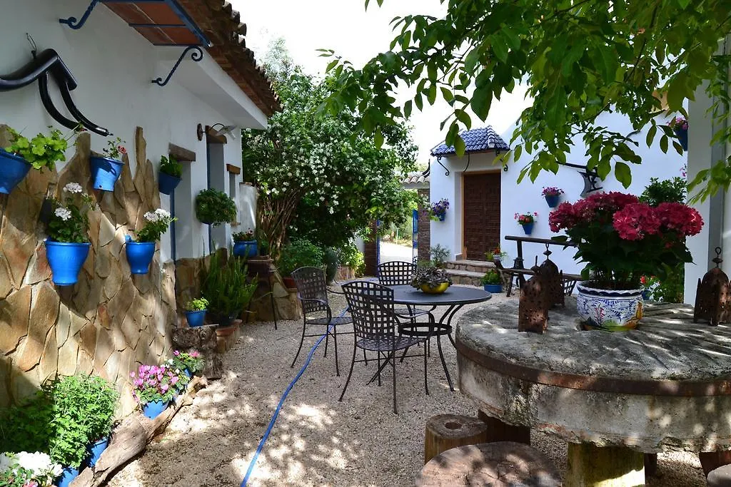 Maison d'hôtes El Rincon De Carmen à Rute Séjour à la campagne