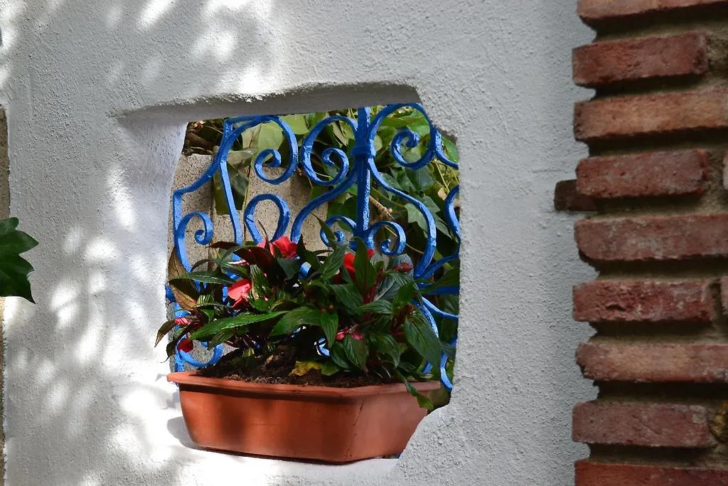 Séjour à la campagne Maison d'hôtes El Rincon De Carmen à Rute Espagne