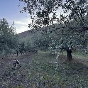 Chalet Caleros, Fondón
