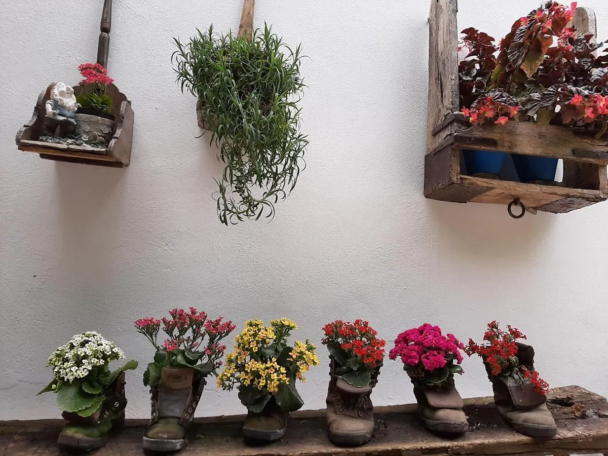 El Rincon De Carmen Guest House Rute Spain